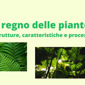 May include: A green and white illustration of a plant with the text "Il regno delle piante: strutture, caratteristiche e processi" in green text. Two images of green plants are shown below the text. A cartoon illustration of a person with brown hair and a green shirt is pointing to the right with a book in their left hand.