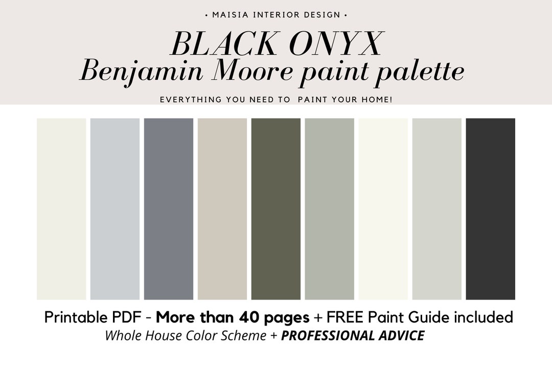 Benjamin Moore ONYX Benjamin Moore Paint Color Palette Etsy