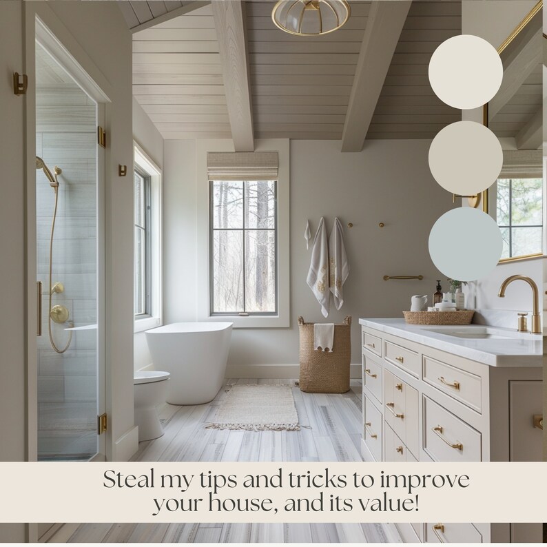 WHITE DOVE Color Palette Benjamin Moore Color Palette 2024 Whole House