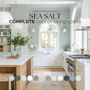 SEA SALT Sherwin Williams Paint Palette Modern Coastal Interior Paint Color for Home Coordinating color scheme Interior Design Color Palette