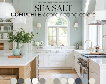 SEA SALT Sherwin Williams Paint Palette Modern Coastal Interior Paint Color for Home Coordinating color scheme Interior Design Color Palette