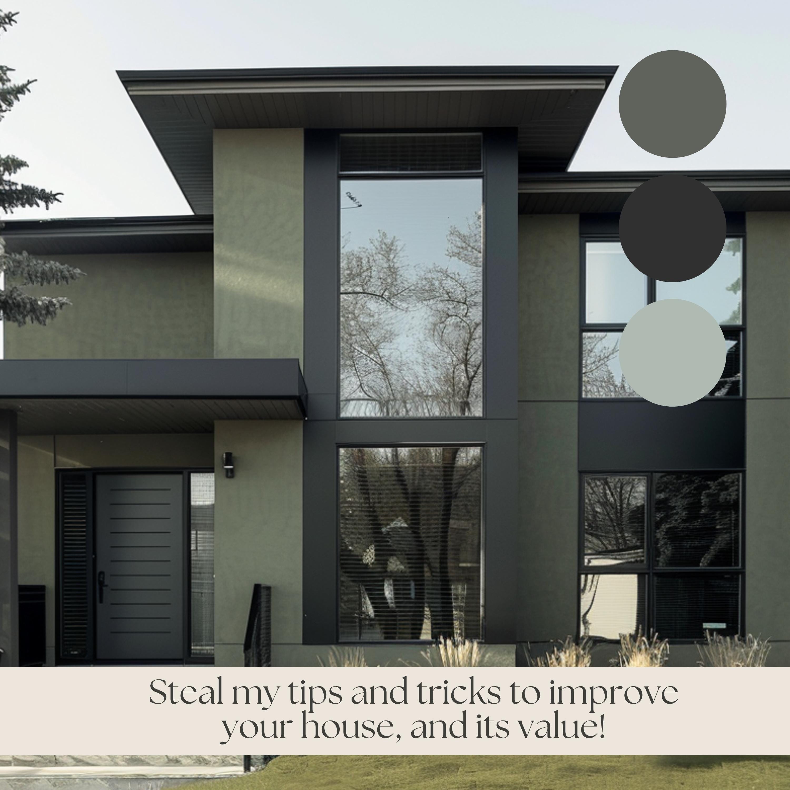MODERN HOUSE EXTERIOR Color Palette Sherwin Williams Color Scheme Black ...