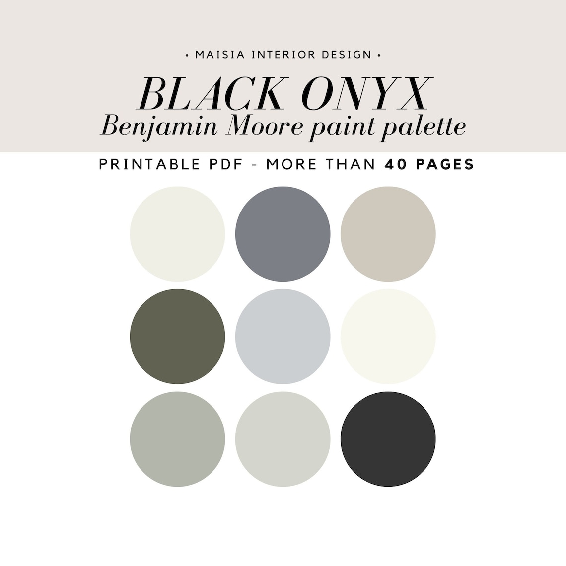 Benjamin Moore ONYX Benjamin Moore Paint Color Palette Etsy