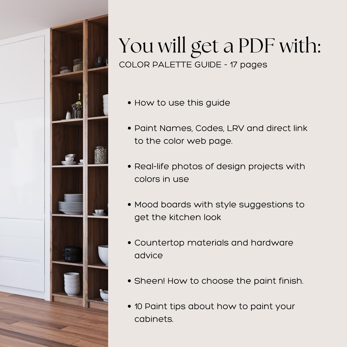 KITCHEN CABINET Paint Color Palette, TRANSITIONAL Kitchen Design ...