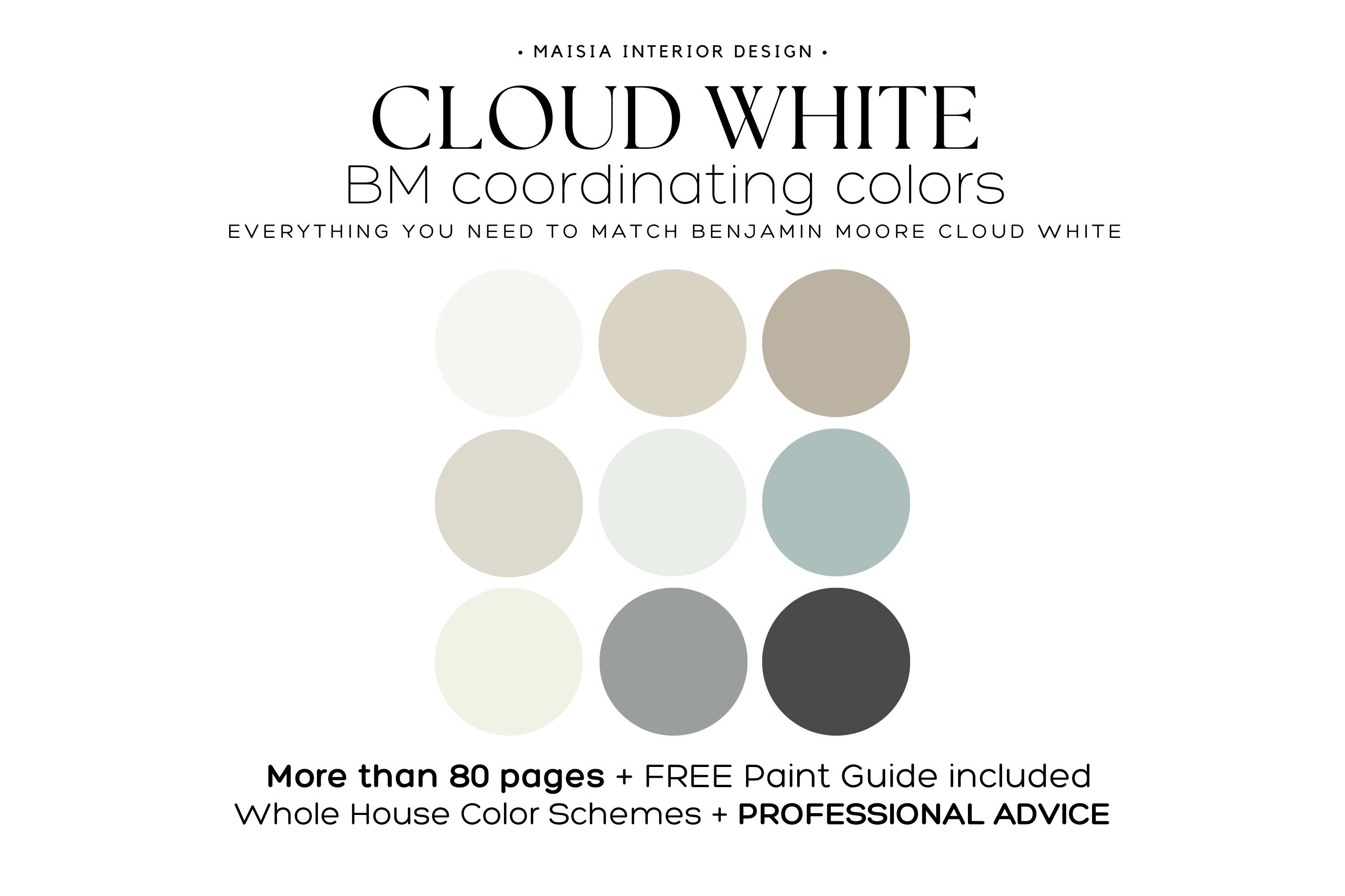 CLOUD WHITE Benjamin Moore Color Palette Paint Color Palette Timeless Color  Scheme Whole House Paint Palette Coastal Color Palette Idea 