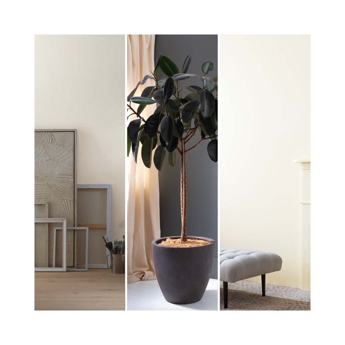 Benjamin Moore ONYX Benjamin Moore Paint Color Palette Etsy