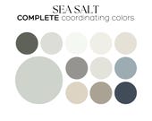 Sherwin Williams SEA SALT Sherwin Williams paint color palette Coastal color scheme idea Sea Salt coordinating whole house color palette