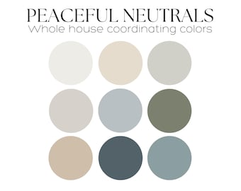 Sherwin Williams color palette of the year 2025 peaceful neutral color scheme whole house paint palette modern calm paint color Malabar SW