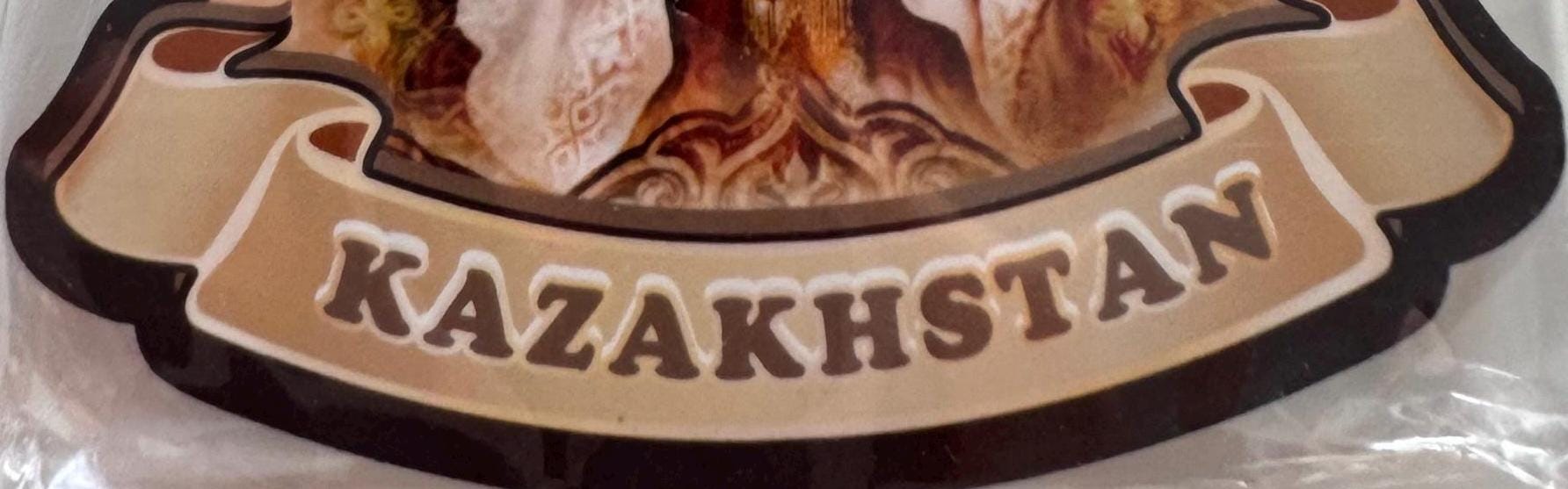 カザフスタンの魅力：20世紀半ばの遊牧民女性、民族衣装 - Etsy 日本