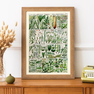 Impressão de musgo com moldura | pôster botânico do musgo | Impressão de musgo vintage emoldurada | Conjunto de impressão de pôster de musgo | Plantas Verdes em Tela