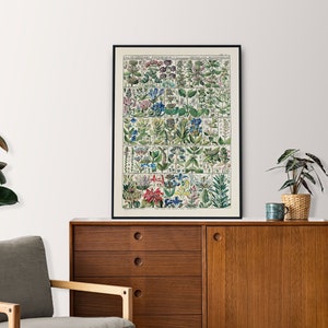 Kräuter Poster mit Rahmen | Poster Kräuter und Blumen | Vintage Kräuterdruck gerahmt | Kräuterset Poster Print | Vintage Herbarium Druck