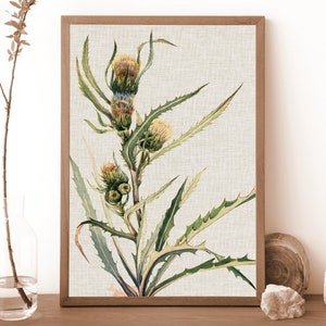 Green Thistle Print with Frame | Thistle Flower Poster Canvas Texture| Vintage Print Framed | Thistle Poster | Thistle Flower on Canvas