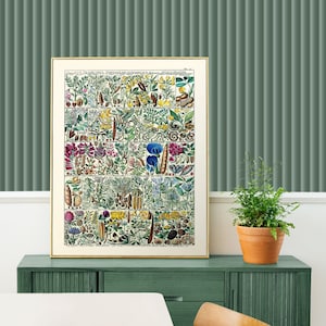 Impresión de flores rosas con marco / Cartel botánico de lupino / Impresión de cacahuetes vintage enmarcada / Impresión de carteles de conjunto de legumbres / Plantas verdes sobre lienzo