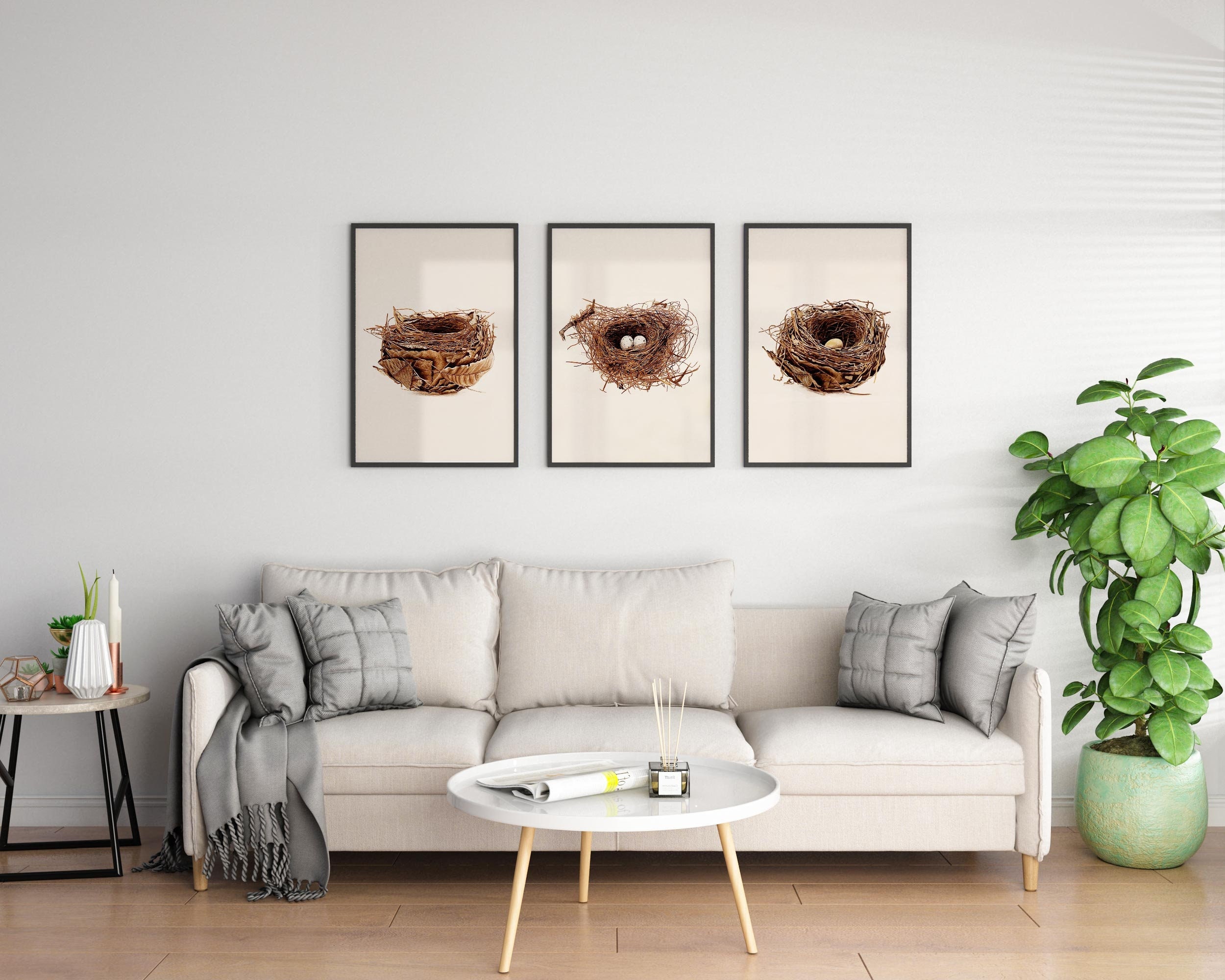 Nest Set of 3 Prints, Birds Nest Print Framed, Decorative Antique Print, Brown Illustrations Set, Beige Posters Set, Monochromatic Posters
