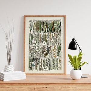 Gras Poster mit Rahmen | Grünes botanisches Poster | Vintage Gras Druck Gerahmt | Gras Poster Set | Grüne Pflanzen auf Keilrahmen