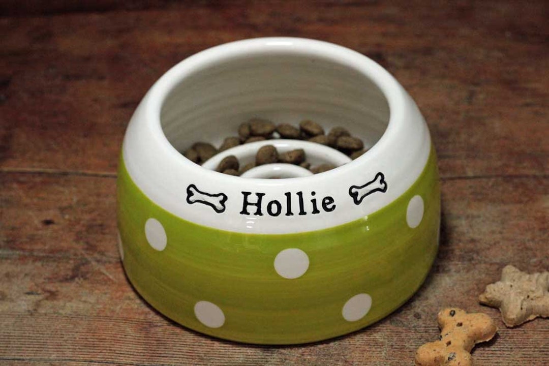 Slow Feeder Spaniel Bowl Etsy