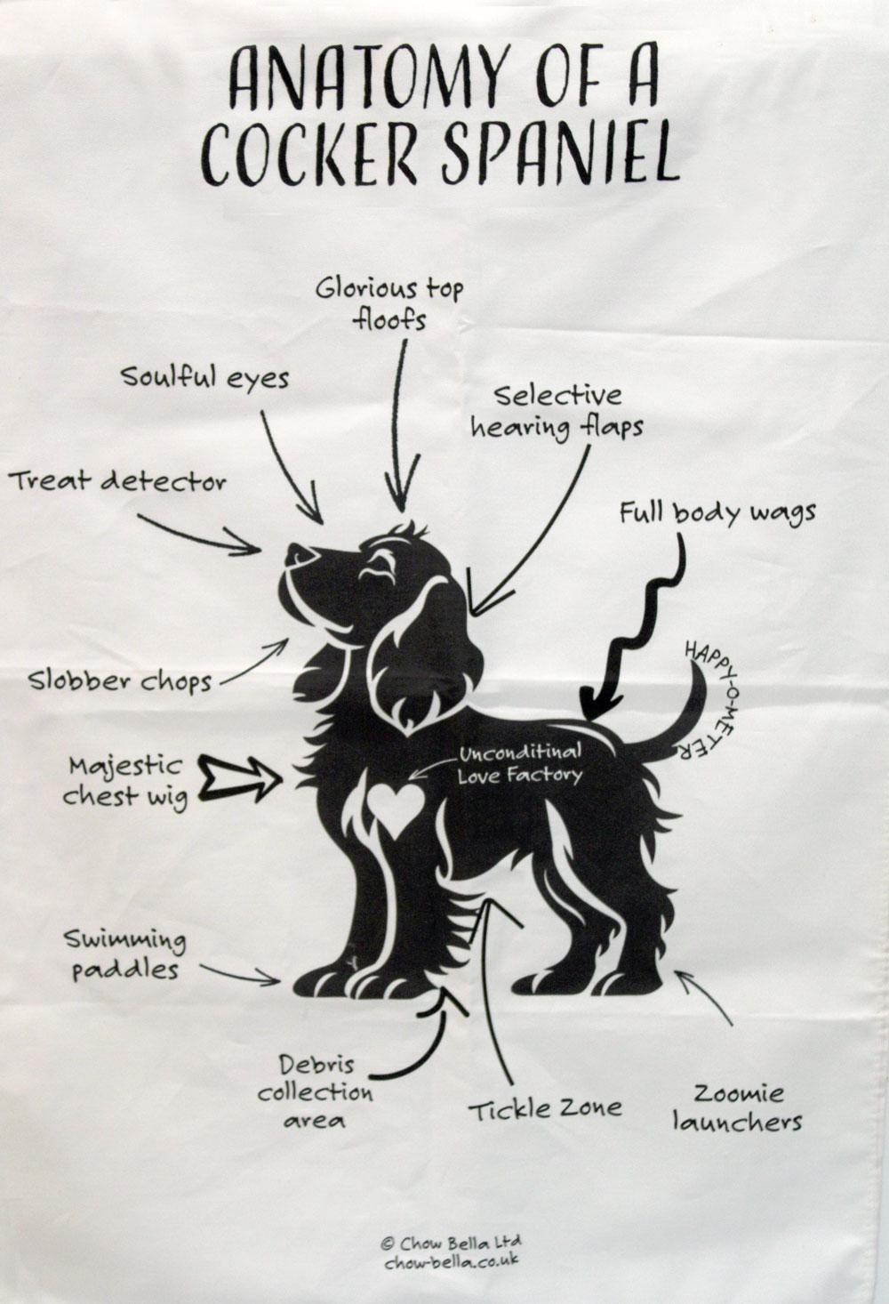 Blue Roan Cocker Spaniel Chops Cocker Spaniel Blanket UK