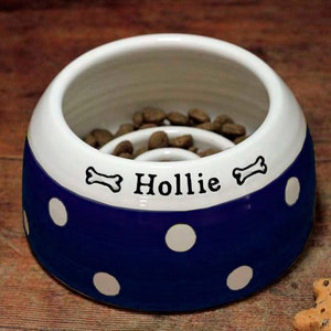 Slow Feeder Spaniel Bowl