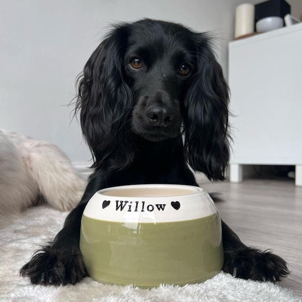 Personalised Spaniel Bowl | Long Eared Dog Bowl | Spaniel Food Bowl | Spaniel Water Bowl