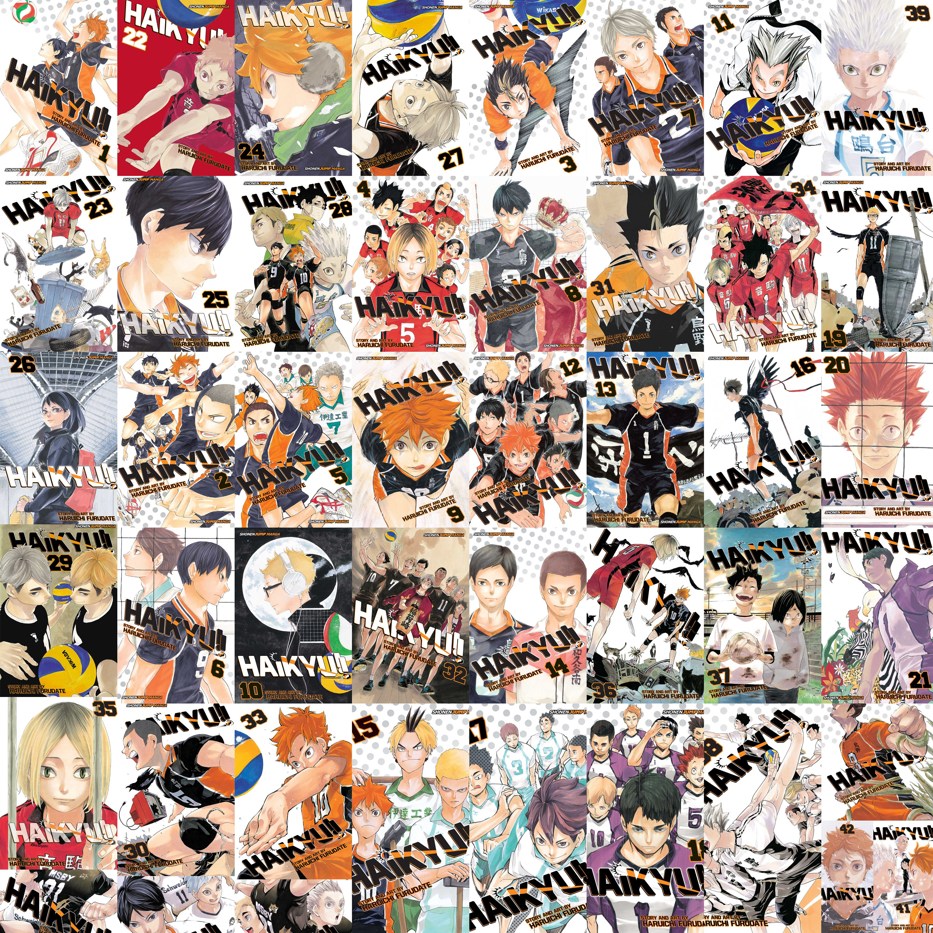 Haikyuu Anime Manga 