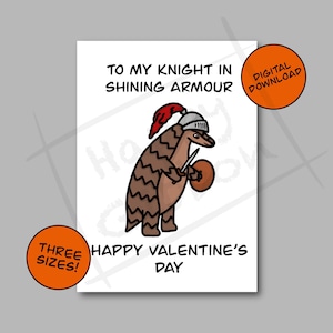 Pangolin Valentines Day Card Digital Download / Funny Pangolin Card / Funny Valentines Card / Valentines Card for Boyfriend / Printable Card