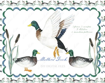 Watercolor Duck Mallard  Grandmillennial  Navy Blue green DIY Digital paper Frames Watercolor Clipart
