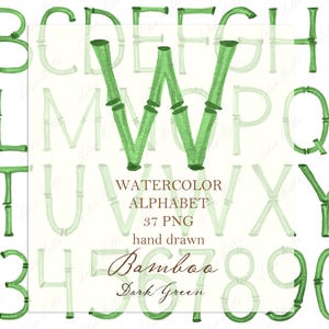 ウェディングモノグラムPNG竹ヴィンテージダークグリーンカリグラフィー文字と数字クレストDIYシノワズリーデジタル水彩クリップアート