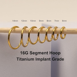 16G Gold Titanium Seamless Hinged Segment Clicker Hoop | Implant Grade ASTM F136 | Nose, Septum, Helix, Rook, Daith Ring | 6mm - 14mm Sizes