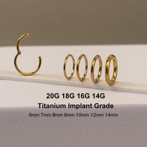 20G 18G 16G 14G Gold Titanium Implant Grade Seamless Hinged Segment Ring | Nose Septum Helix Clicker Hoops | Hypoallergenic ASTM F136