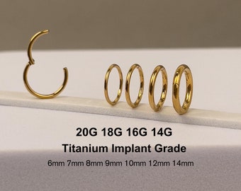 20G 18G 16G 14G Gold Titanium Implant Grade Seamless Hinged Segment Ring | Nose Septum Helix Clicker Hoops | Hypoallergenic ASTM F136