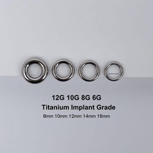May include: Four different sizes of titanium implant grade seamless rings. The sizes are 12G, 10G, 8G, and 6G. The rings are 8mm, 10mm, 12mm, 14mm, and 16mm in diameter.