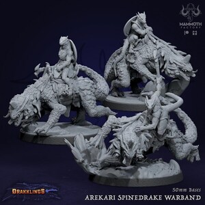 May include: Three grey 3D printed miniature figures of a spinedrake warband. The figures are mounted on 50mm bases and feature a rider on each spinedrake. The figures are part of the Drakklings Arekari Spinedrake Warband collection.