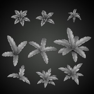 May include: A set of eight black and white illustrations of different types of plants. The plants are drawn in a cartoon style and have a variety of shapes and sizes.