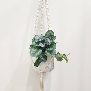 May include: A white macrame plant hanger with a green leafy plant in a white pot.
