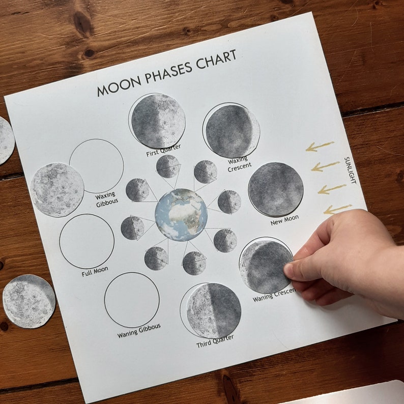 Moon Phase Poster & Activity Printable Lunar Study Digital Etsy