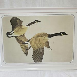 May include: A rectangular white plastic serving tray featuring a central illustration of two Canada geese in flight. The geese have brown and tan feathers with black necks and heads, set against a plain, light beige background.