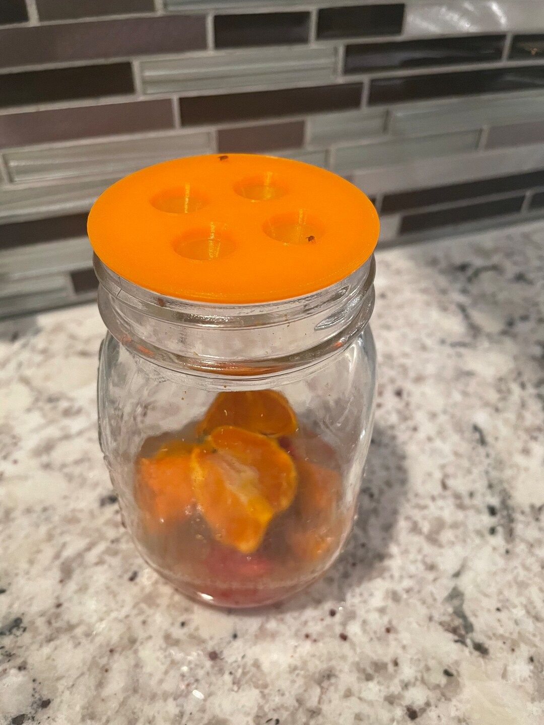 Fruit Fly Mason Jar Lid Trap Etsy