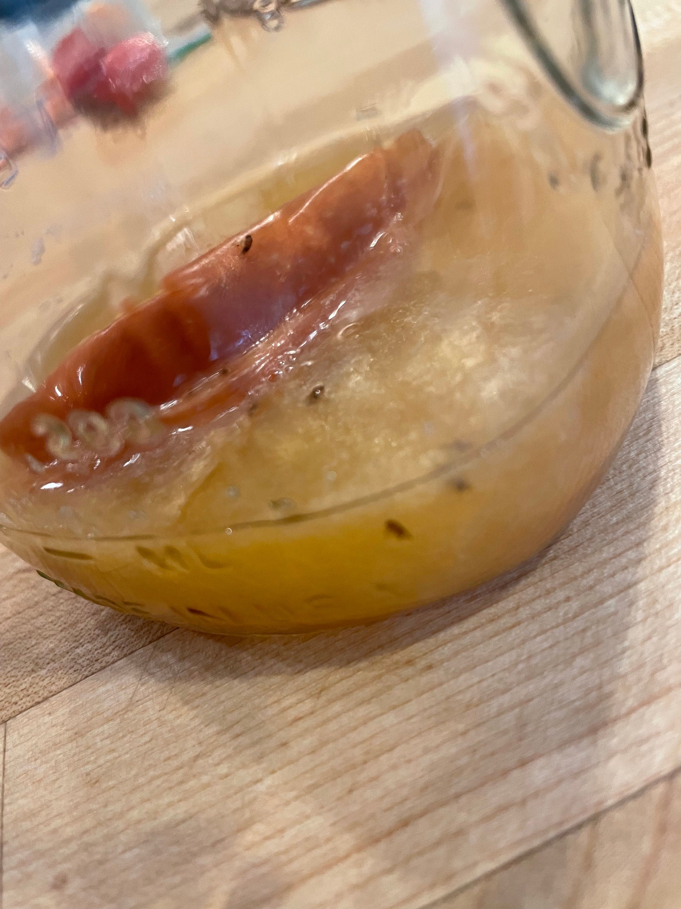 Fruit Fly Mason Jar Lid Trap Etsy