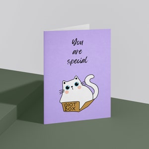 Lustige Valentinstag, Geburtstagskarte - süße Katze in der Box, sarkastisch, Jahrestag, Handgezeichnet, du bist wichtig