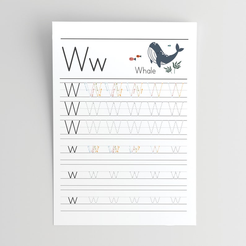 May include: A printable worksheet for practising writing the letter W. The worksheet features a black and white illustration of a whale with the word "Whale" below it. The letter W is written in black at the top of the page, and there are multiple lines of dotted W's for the user to trace.