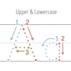 May include: Diagram showing the difference between uppercase and lowercase letters. The diagram uses blue, red, and green dots to illustrate the movement of a pen when writing the letters.