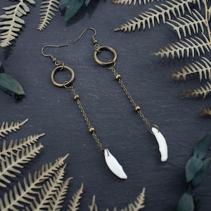 Whispers Ohrringe | Fangzahn Ohrringe | Einzigartiger Naturschmuck