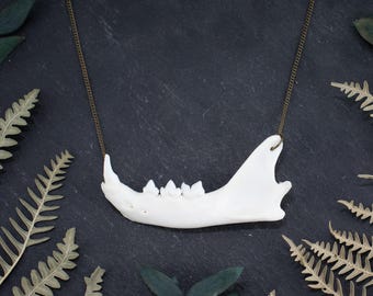 Collar de mandíbula de visón / Collar de hueso real / Joyas Oddities