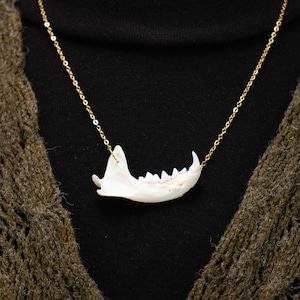 Op de afbeelding: Een gouden ketting met een witte botkaak hanger. De hanger heeft een gebogen vorm met meerdere kleine, puntige tanden. De ketting wordt getoond tegen een donkere achtergrond, met een groen gebreid kledingstuk zichtbaar.