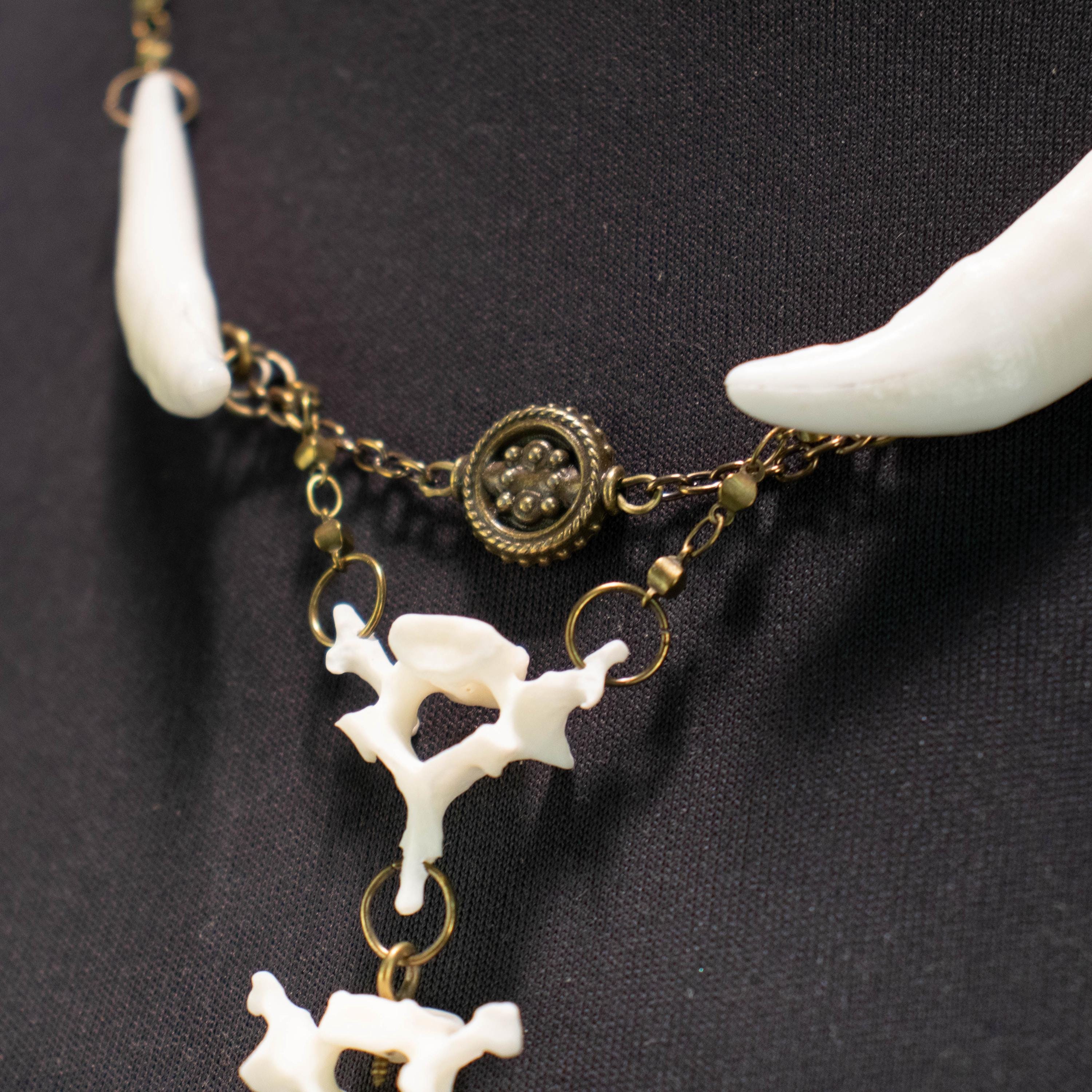 Zama Spine Necklace | Real Bone Necklace | Tribal Bone Necklace - Etsy
