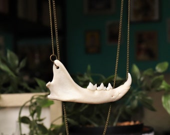 Jaw Necklace - Natural Jewelry - Gift For Women - Elegant necklace - boho jewelry - real bone jewelry