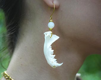 Feral Grace Earrings | Mink Jaw Earrings | Real Bone Earrings