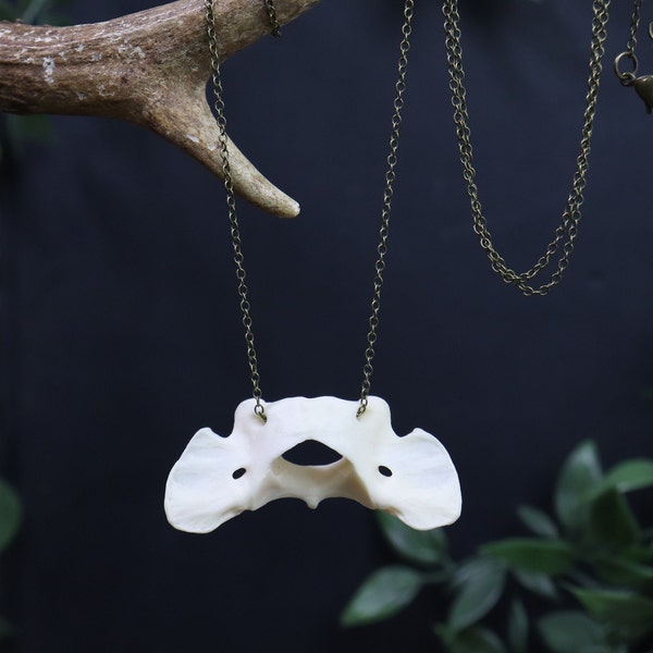 Atlas Bone Necklace - Natural Jewelry - Gift For Women - Elegant necklace - boho jewelry - real bone jewelry