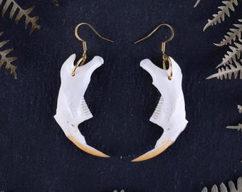 May include: A pair of unique earrings featuring white, bone-shaped pendants with gold-colored hooks. The pendants have a tooth-like design with a tan-colored tip. The earrings are displayed on a dark background with fern accents.