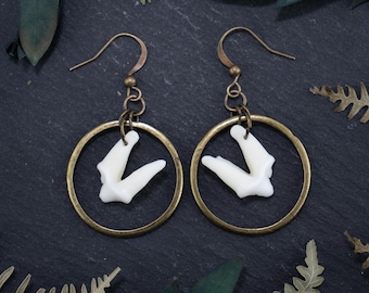 Molar Drops Earrings | Real Bone Jewelry | Oddities Earrings